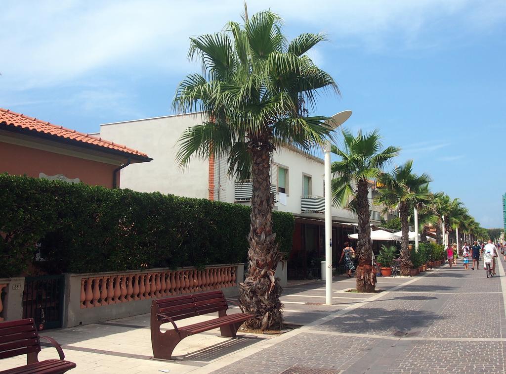 Hotel Aurora Marina di Cecina Exterior photo