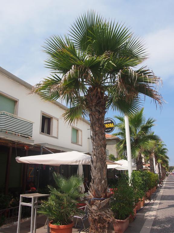 Hotel Aurora Marina di Cecina Exterior photo